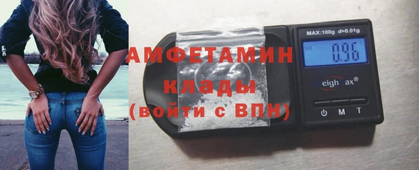 сатива Аркадак
