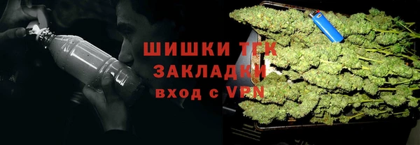 сатива Аркадак