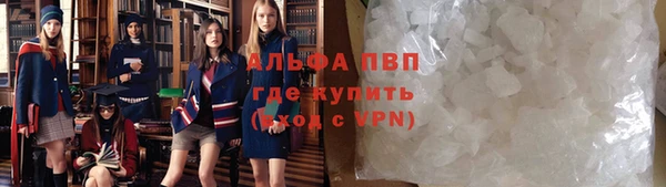 сатива Аркадак