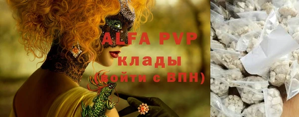 сатива Аркадак