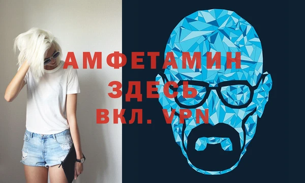 сатива Аркадак